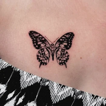 Mariposa negra detallada