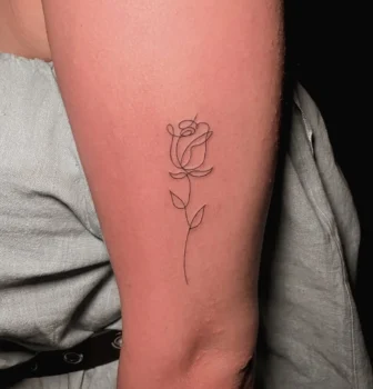 Rosa continua línea fina